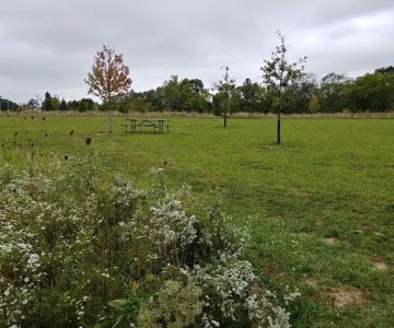 Oldfield Oaks Dog Park