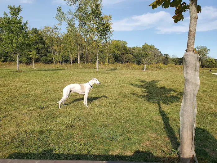 Oldfield Oaks Dog Park 3