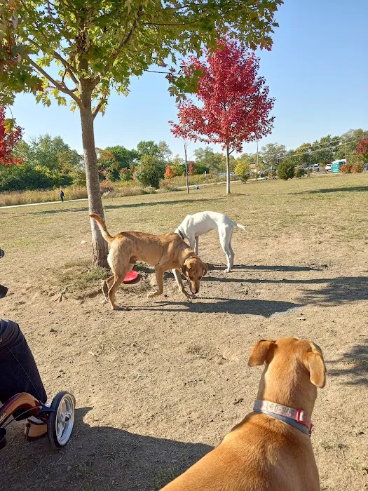 Oldfield Oaks Dog Park 7