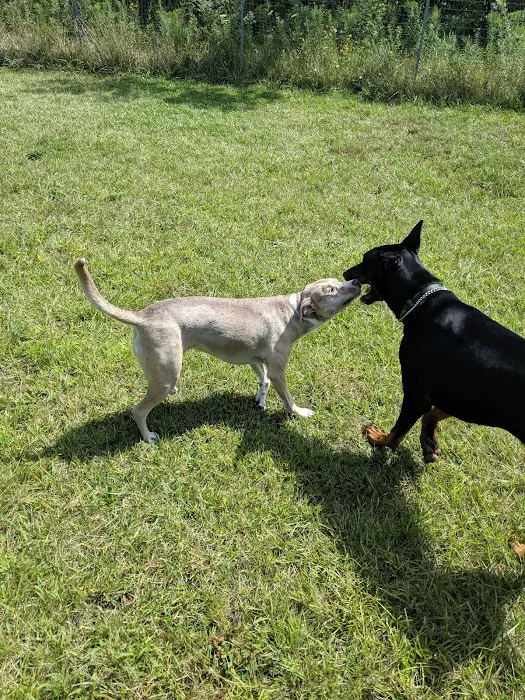 Oldfield Oaks Dog Park 10