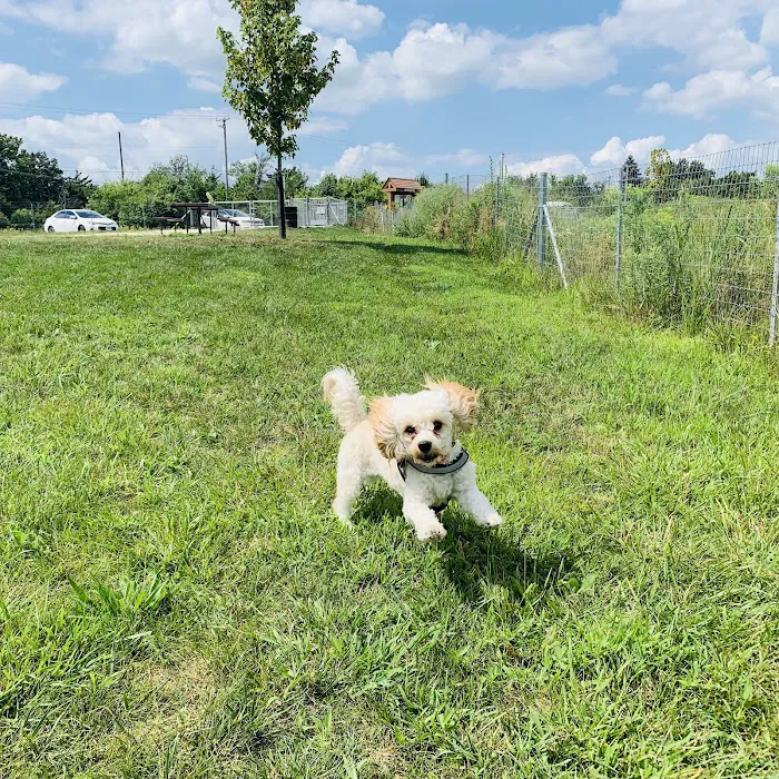 Oldfield Oaks Dog Park 9