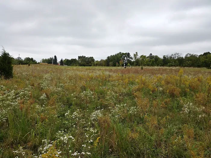 Oldfield Oaks Dog Park 4