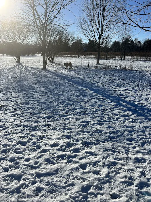 Greene Valley Dog Park 3