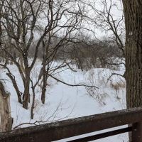 Greene Valley Dog Park ico