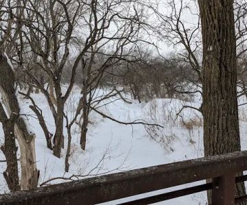 Greene Valley Dog Park