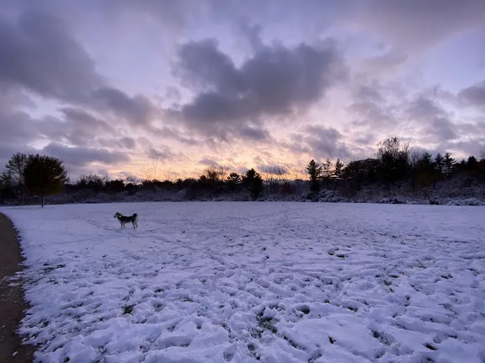 Greene Valley Dog Park 8