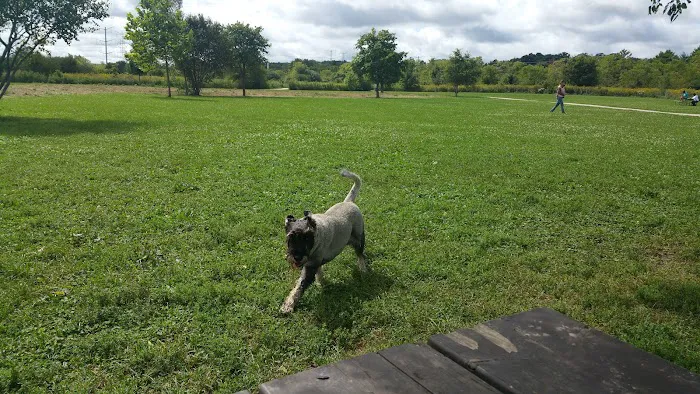 Greene Valley Dog Park 6