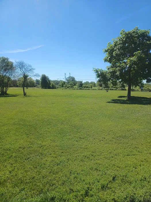 Greene Valley Dog Park 5