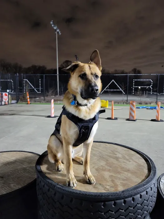 Jackson Bark 6