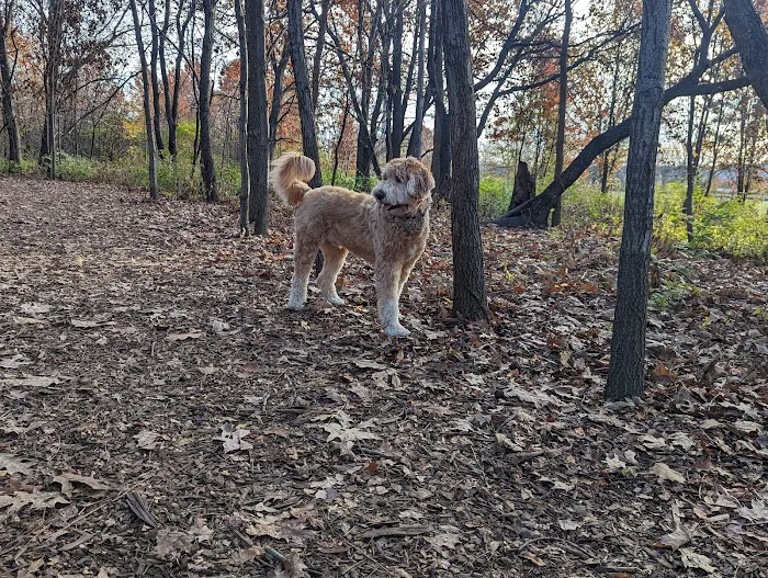 Whalon Lake Dog Park 10