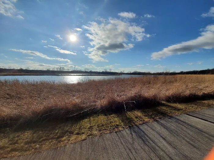 Whalon Lake Dog Park 6