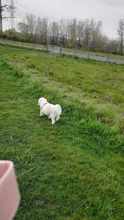 Whalon Lake Dog Park 2