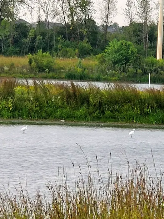 Whalon Lake Dog Park 9