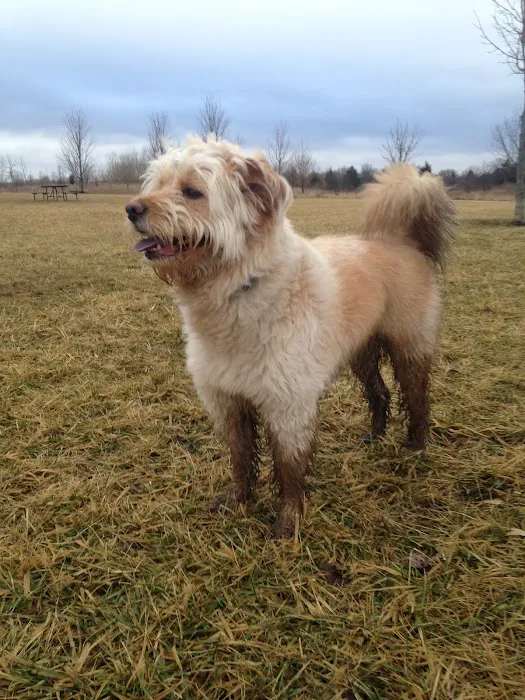 Springbrook Prairie Dog Park 7
