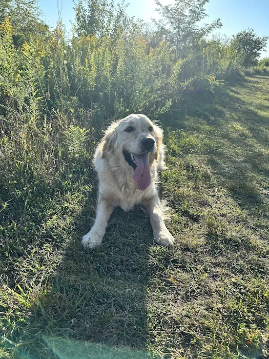 Springbrook Prairie Dog Park 1