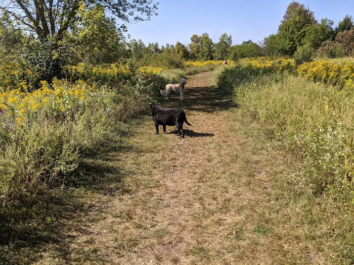 Springbrook Prairie Dog Park 4
