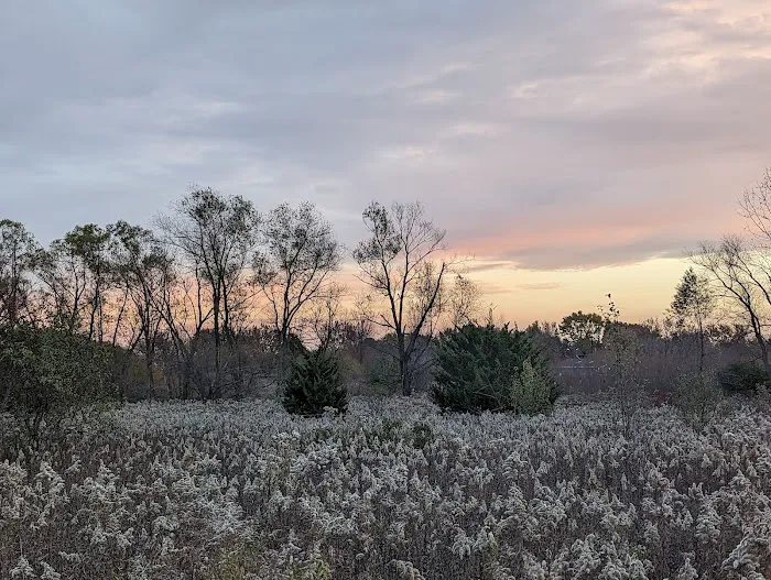 Springbrook Prairie Dog Park 2