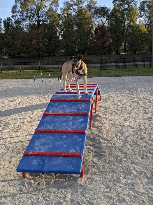 Dog Park at Phillips Park 10