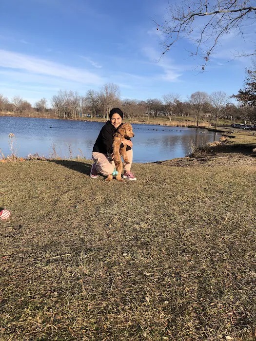 Dog Park at Phillips Park 9