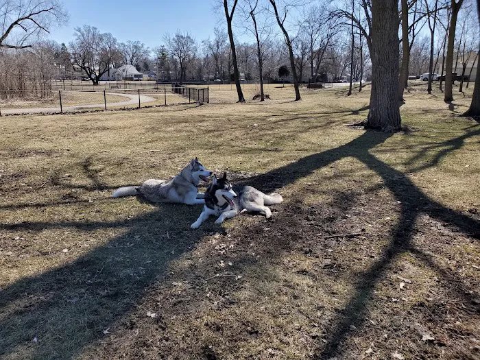 Dog Park at Phillips Park 2