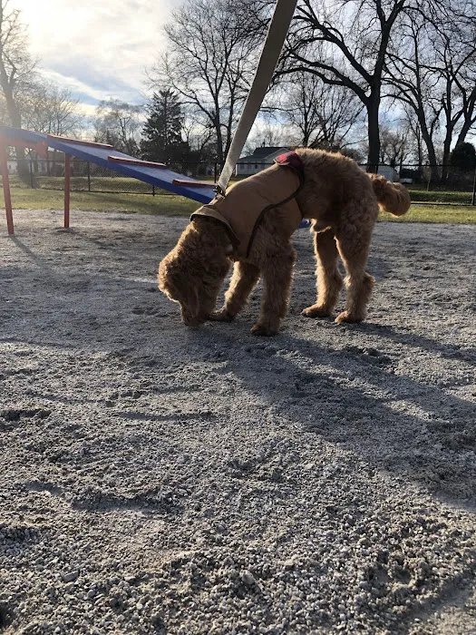 Dog Park at Phillips Park 6
