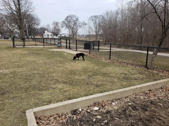 Dog Park at Phillips Park 3