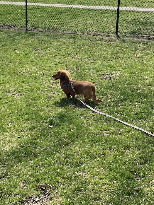 Lincoln Park Dog Park 8