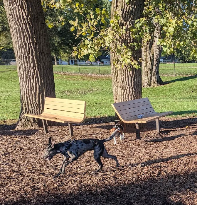 Lincoln Park Dog Park 10