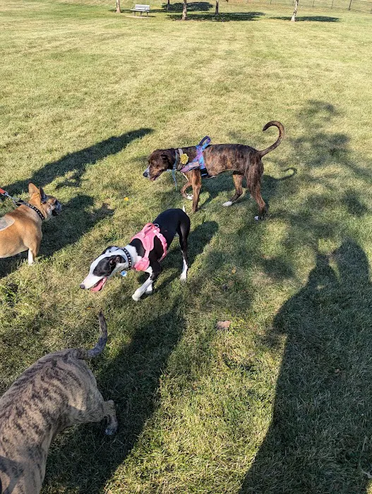 Lincoln Park Dog Park 5