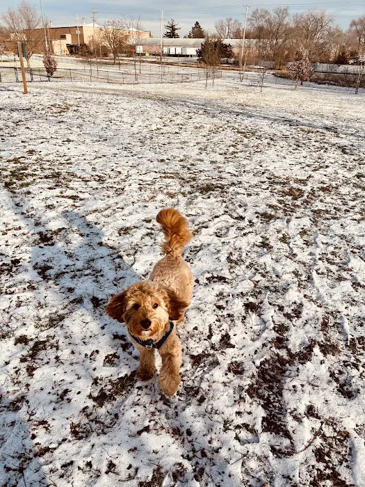 Lincoln Park Dog Park 7