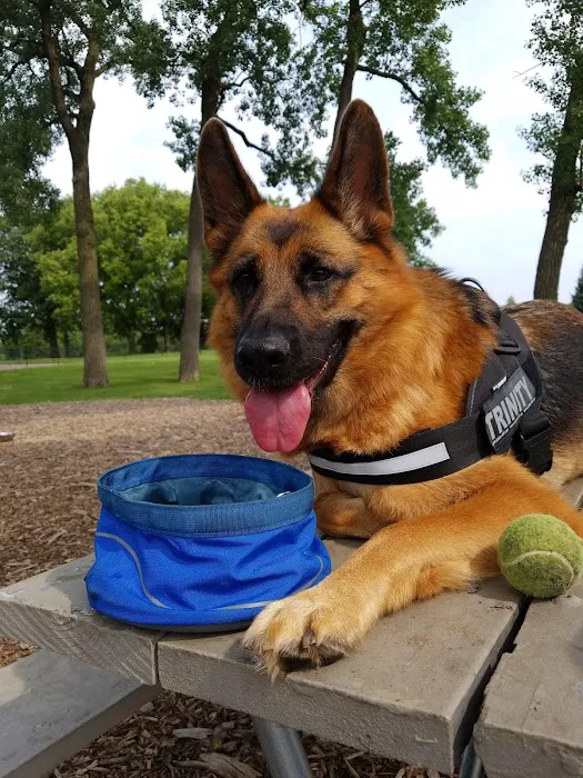 Lincoln Park Dog Park 9