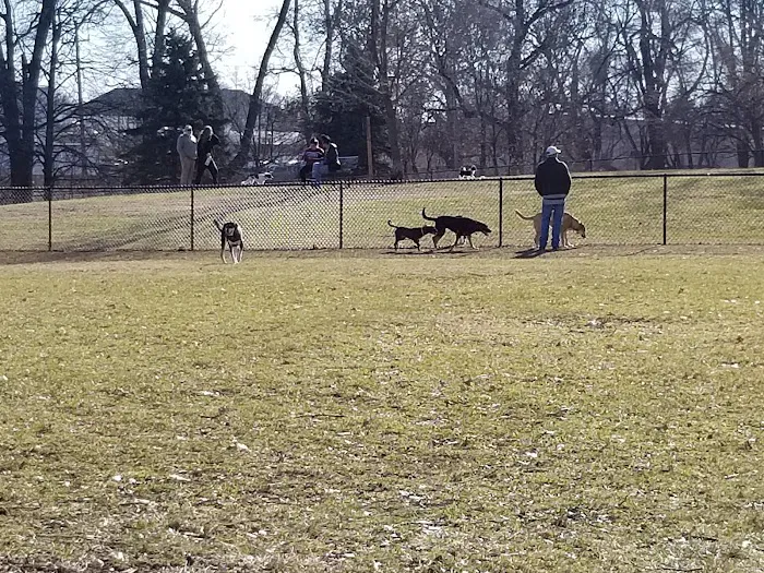 Lincoln Park Dog Park 6
