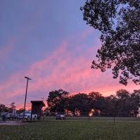 Harris Family Dog Park ico
