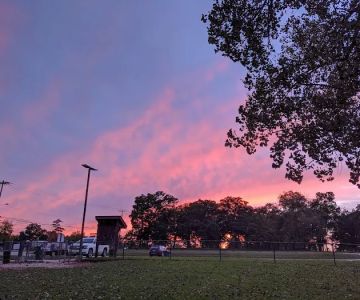 Harris Family Dog Park
