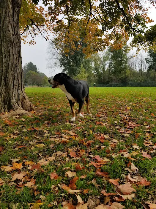 Carlisle Family Dog Park 3