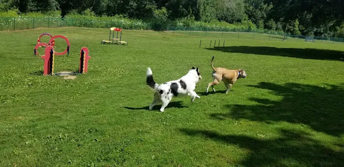 Carlisle Family Dog Park 5