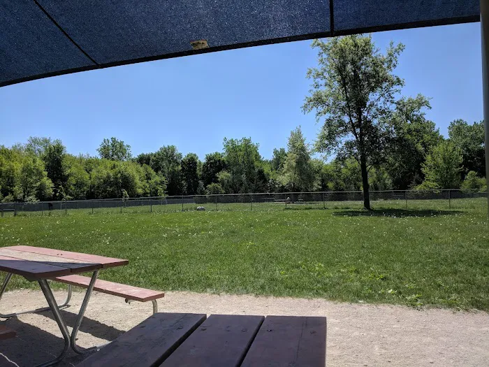 Hound Town Dog Park 3