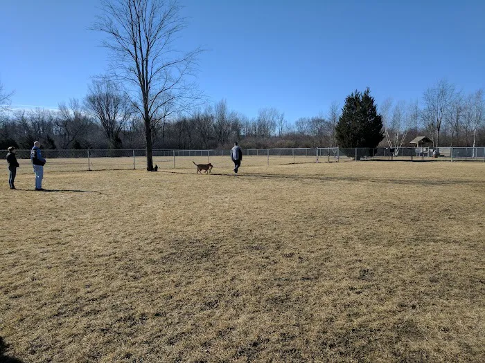 Hound Town Dog Park 5