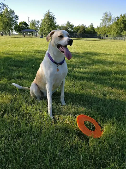 Hound Town Dog Park 7