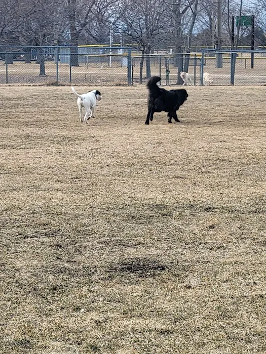 Hound Town Dog Park 4