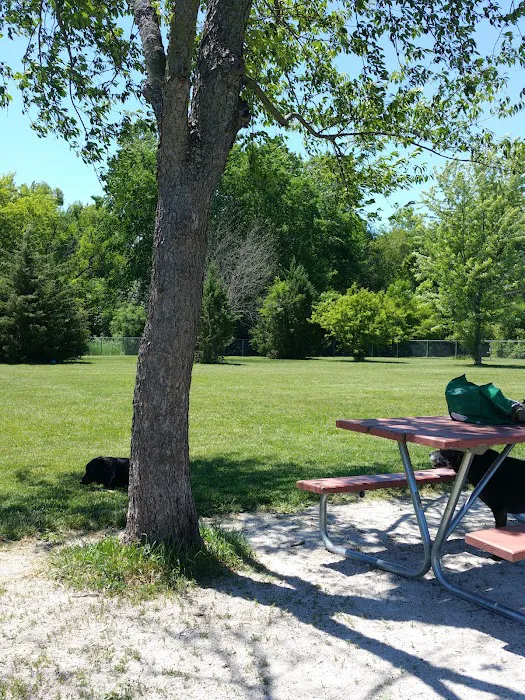 Hound Town Dog Park 9
