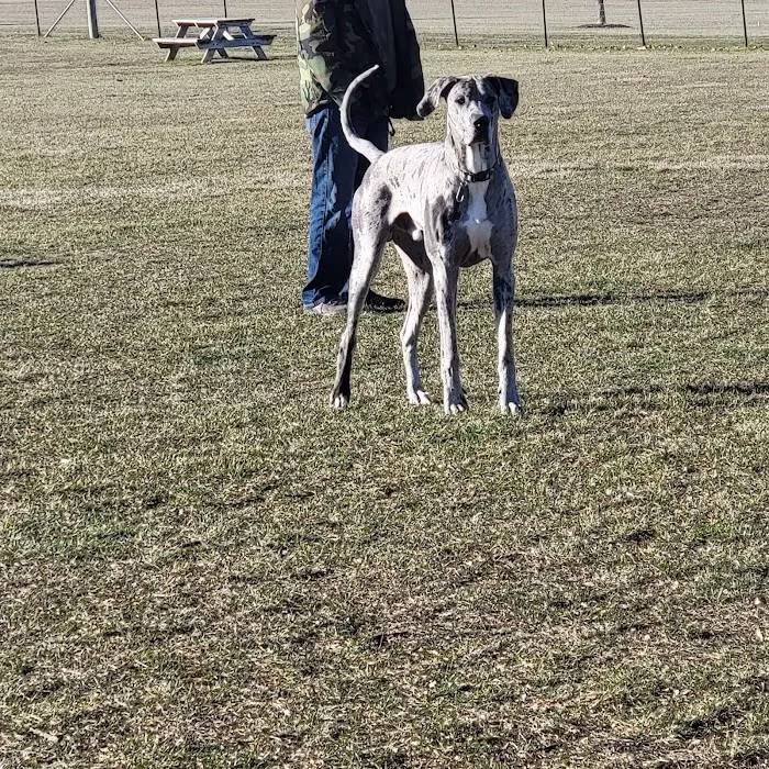 Bark Park 7