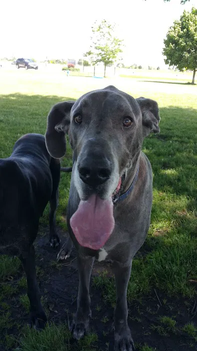 Bark Park 2