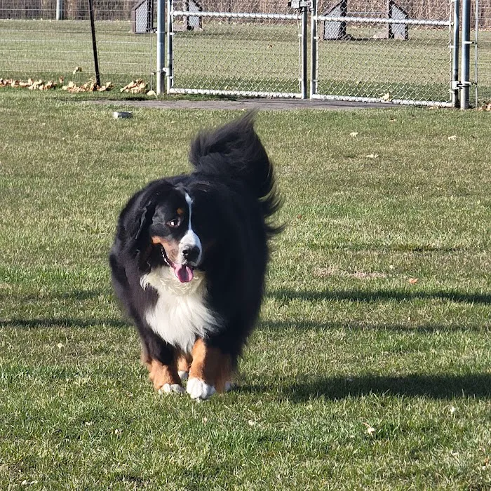 Bark Park 6