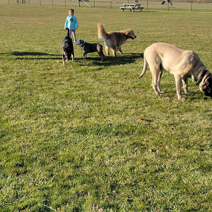 Bark Park 8
