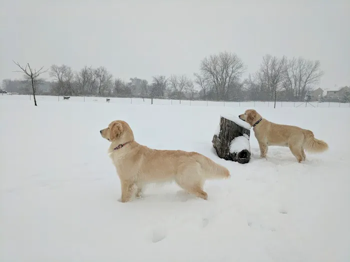 Bark Park 1