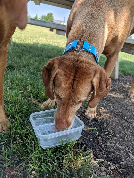 Bark Park 3