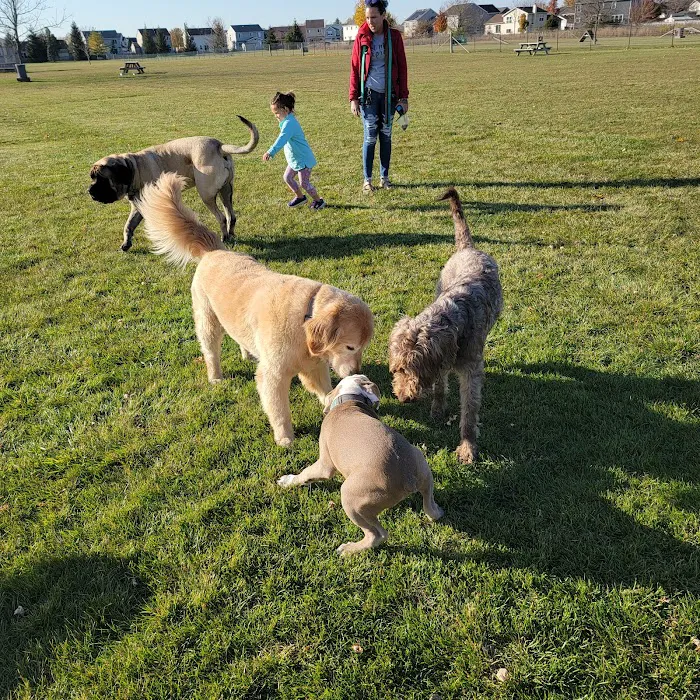 Bark Park 9