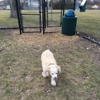 Sturtevant Dog Park ico