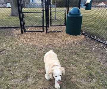 Sturtevant Dog Park